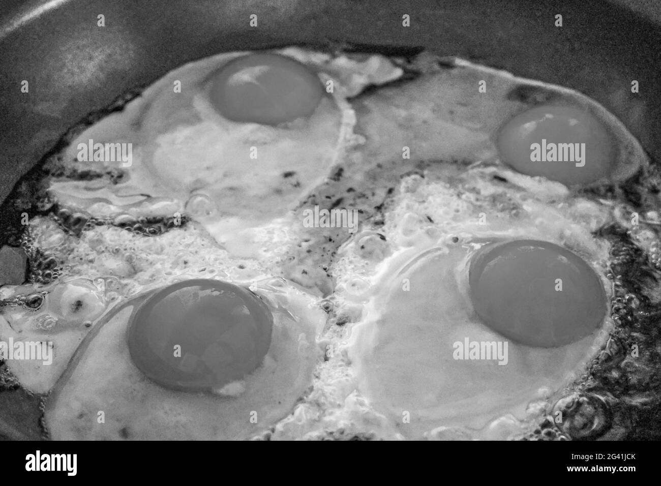 Schwarz-Weiß-Bild vom Braten von Eiern und der Herstellung von Spiegeleiern in der Pfanne am Morgen. Stockfoto