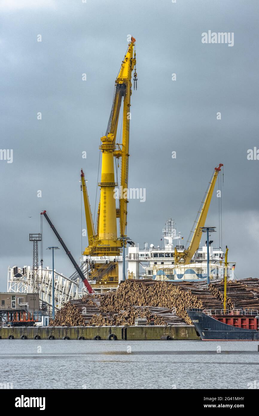Gelber Kran mit Treibholz im Hafen von Wismar, Deutschland Stockfoto