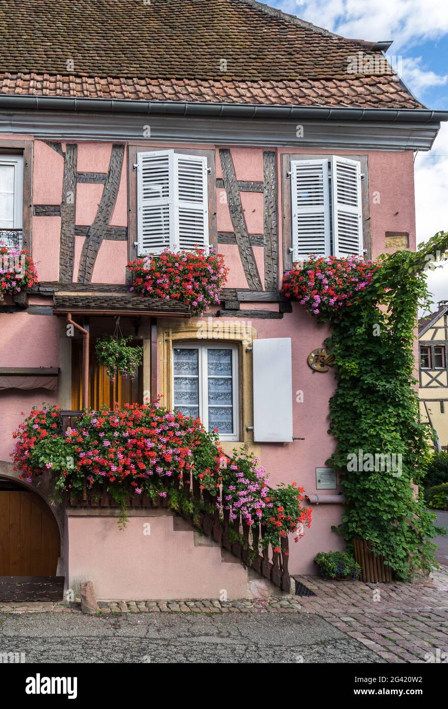 Geranien vor einem Haus in Eguisheim in Haut-Rhin-Elsass-Frankreich Stockfoto