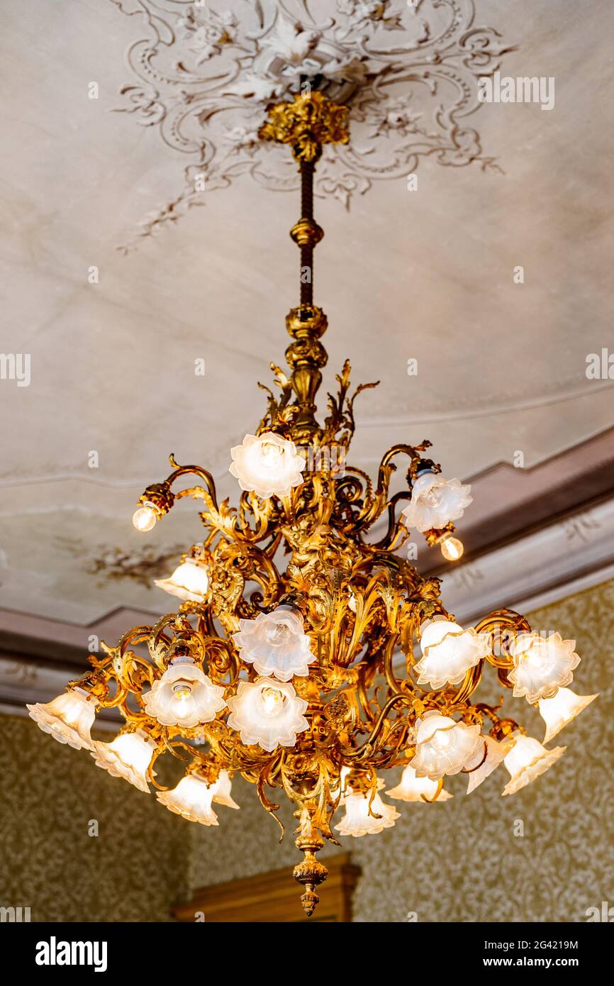 Großer goldener Kronleuchter mit floralen Farbtönen und Lampen im floralen Stil, unter der Decke mit Stuck. Stockfoto