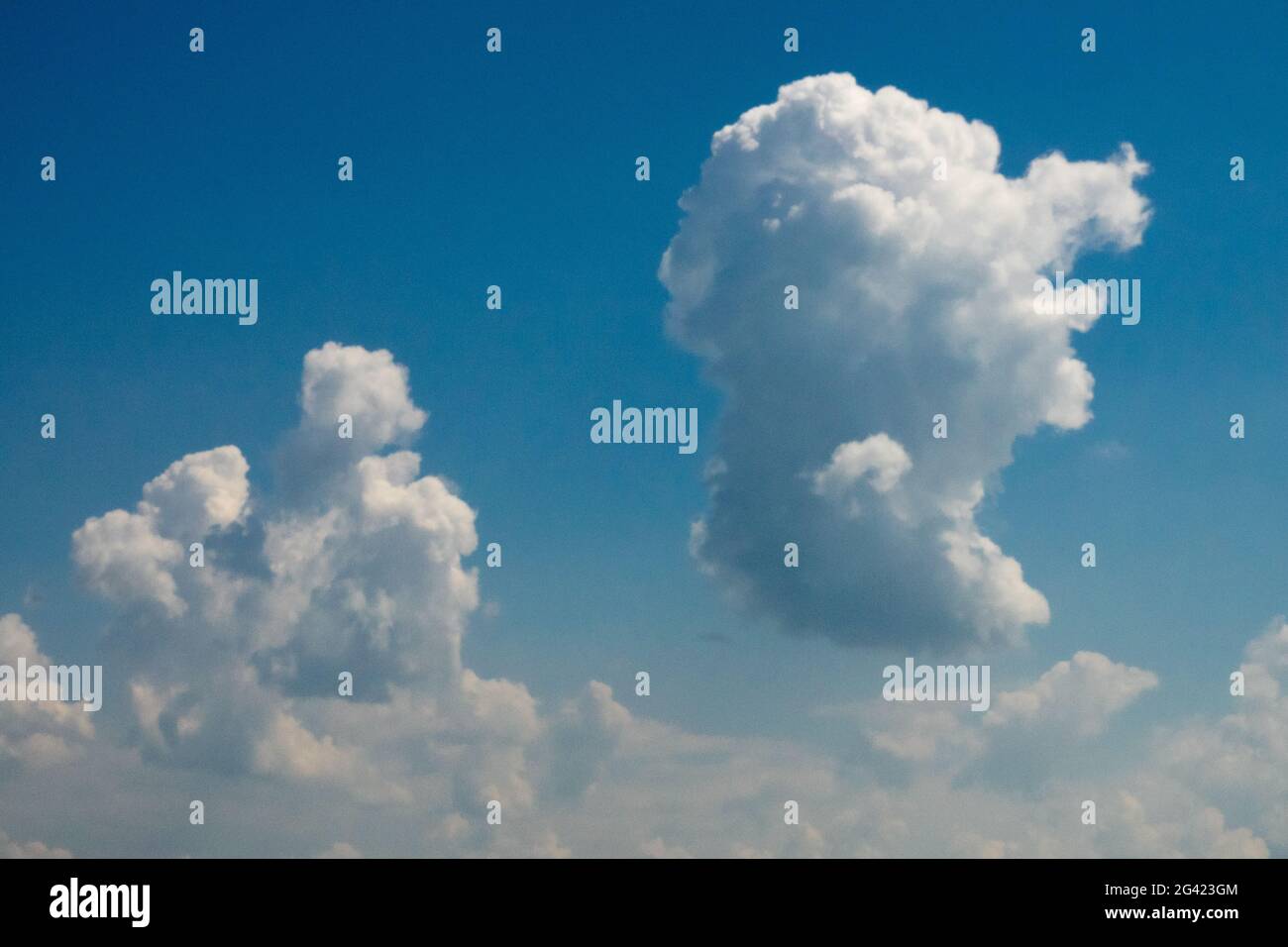 Geschwollene Wolken am blauen Himmel im Sommer Stockfoto