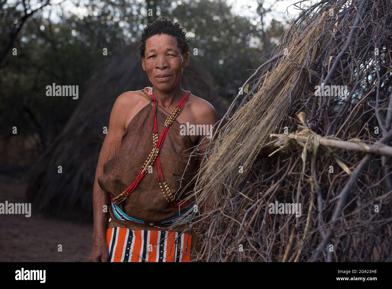 Porträts von Menschen aus dem Stamm der Buschmänner Naro. Botswana ist die Heimat von etwa 63,500 San, was etwa 2.8 % der Bevölkerung des Landes ausmacht und damit das Land mit der höchsten Bevölkerung von San ist. Die San-Völker (auch Saan) oder Buschmänner sind Mitglieder verschiedener Khoe-, Tuu- oder Kxʼa-sprechender indigener Jäger- und Sammlergruppen, die die ersten Nationen des südlichen Afrikas sind. Botswana. Stockfoto