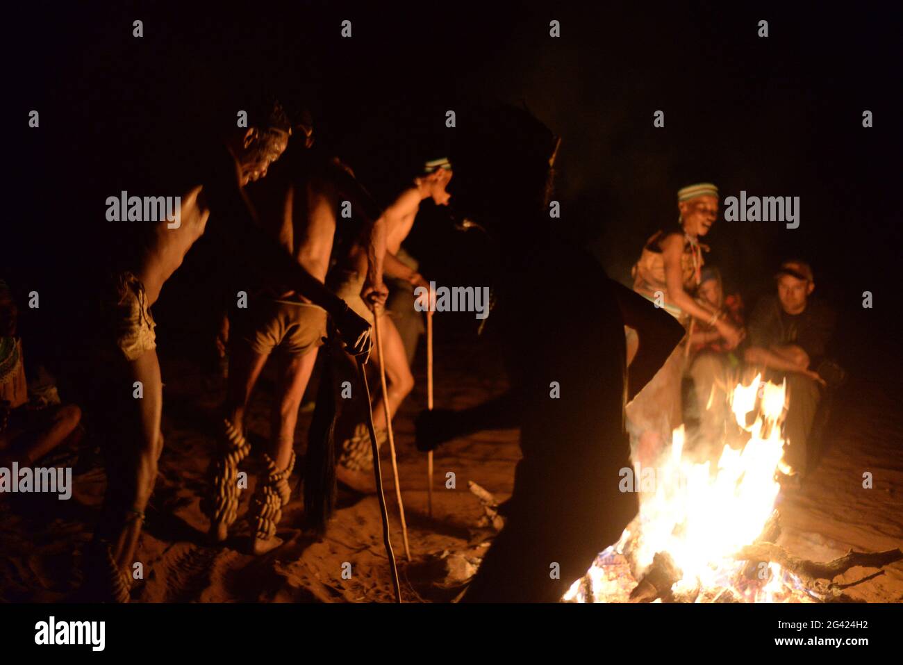 Bushmen Naro Tribe genießen ihren traditionellen Tanz um ein Feuer in der Nacht. Botswana ist die Heimat von etwa 63,500 San, was etwa 2.8 % der Bevölkerung des Landes ausmacht und damit das Land mit der höchsten Bevölkerung von San ist. Die San-Völker (auch Saan) oder Buschmänner sind Mitglieder verschiedener Khoe-, Tuu- oder Kxʼa-sprechender indigener Jäger- und Sammlergruppen, die die ersten Nationen des südlichen Afrikas sind. Botswana. Stockfoto