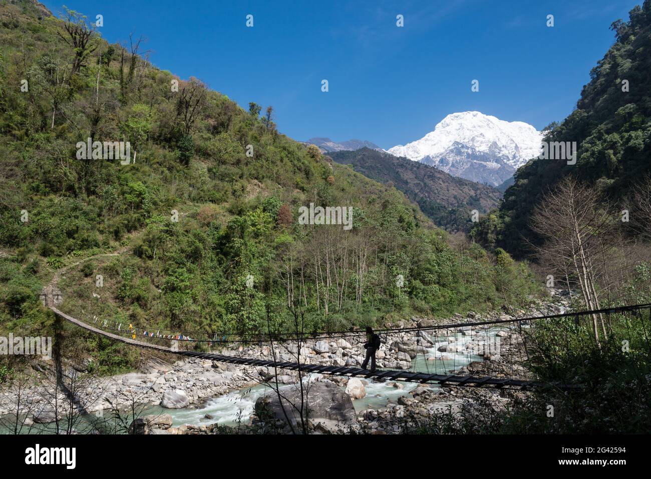 Hängebrücke mit Annapurna South auf dem ins Annapurna Base Camp in der Nähe von Chomrong, Nepal, Himalaya, Asien. Stockfoto