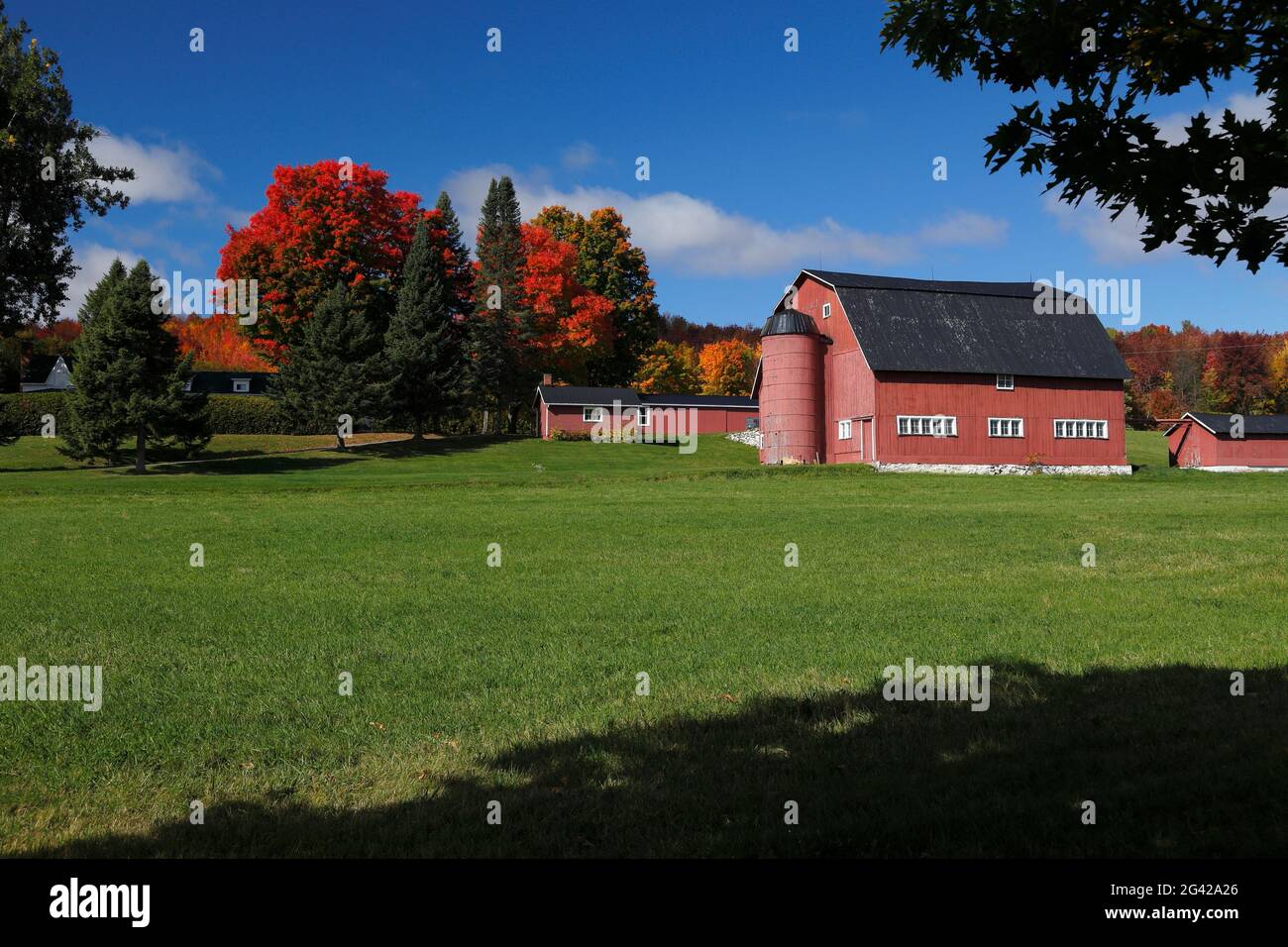 Rote Scheune auf dem Land Quebec; Kanada Stockfoto