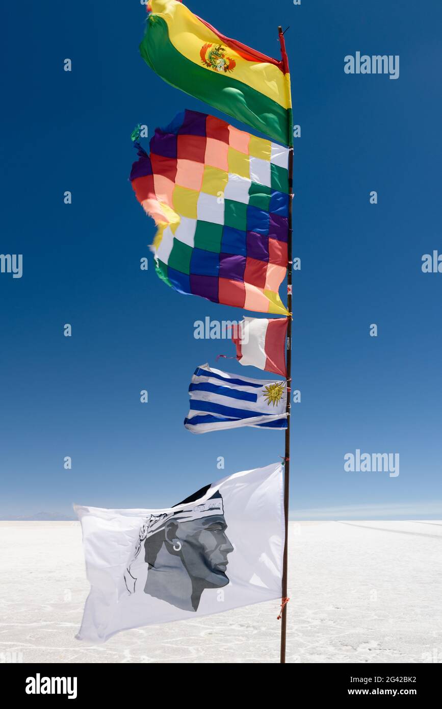 Vertikale Aufnahme der Flagge der Andenvölker, der Whipala und der Flagge südamerikanischer Länder an einem sonnigen Tag auf der Uyuni Salt Flat in Bolivien. Stockfoto