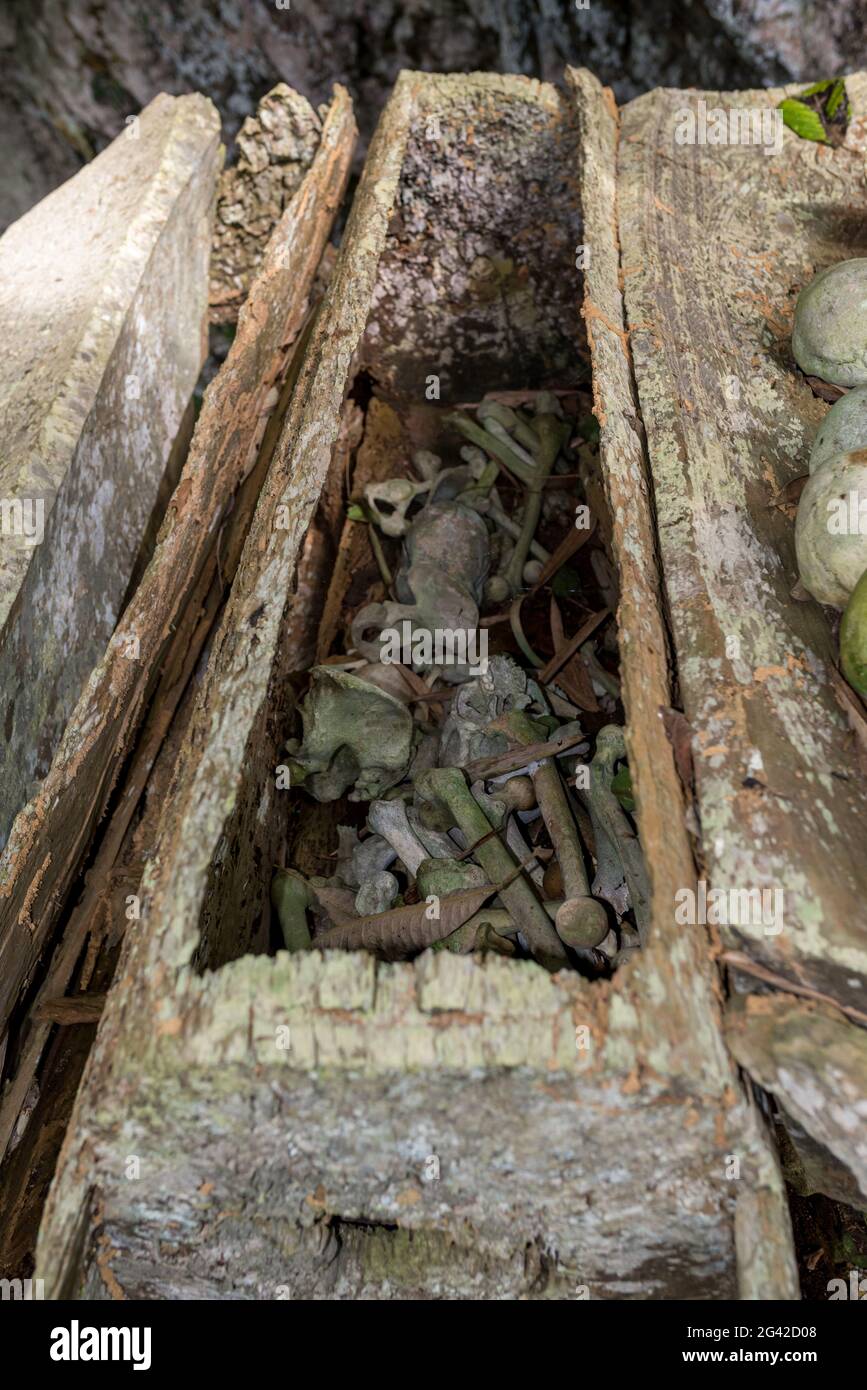 Die historische Grabstätte von Lombok Parinding in Tana Toraja Stockfoto