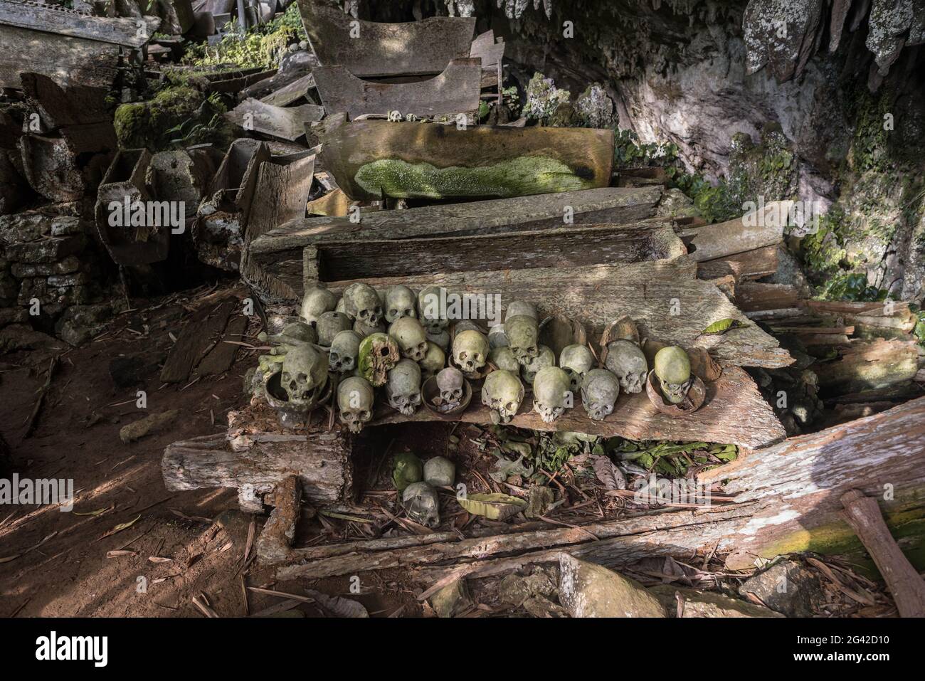 Die historische Grabstätte von Lombok Parinding in Tana Toraja Stockfoto