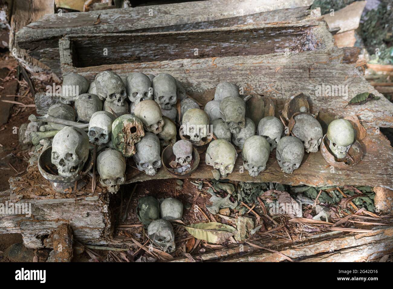 Die historische Grabstätte von Lombok Parinding in Tana Toraja Stockfoto