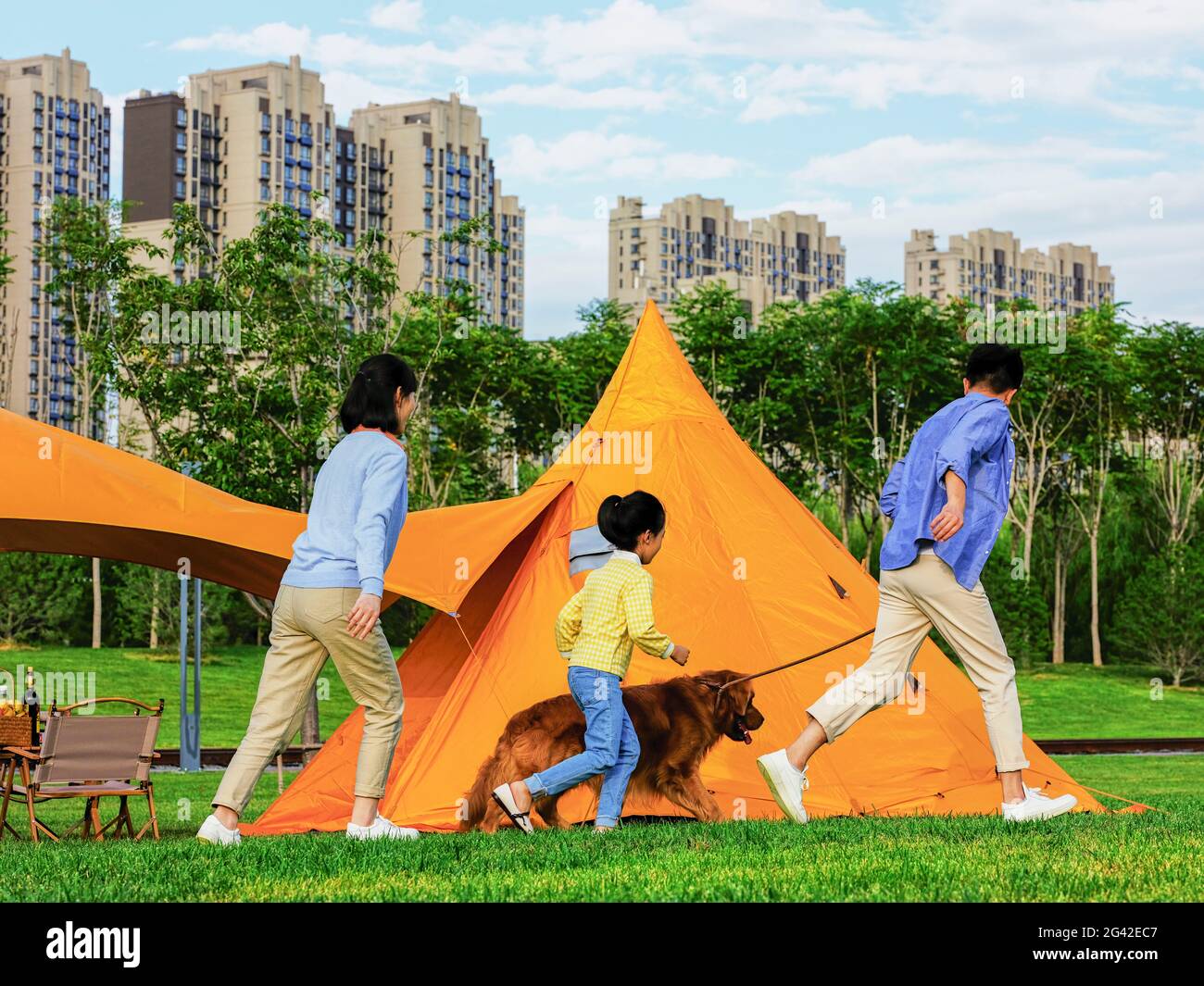 Glückliche Familie von drei und Hund spielen im Park qualitativ hochwertige Foto Stockfoto