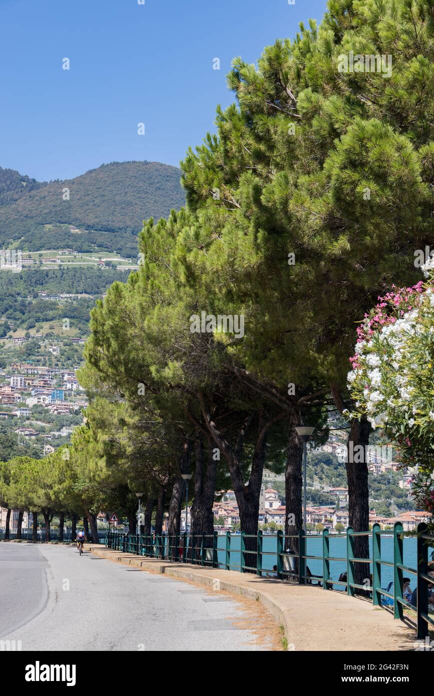 ISEOSEE, LOMBARDEI/ITALIEN - AUGUST 15 : Blick auf eine von Bäumen gesäumte Straße am Ufer des Iseosees in der Lombardei am 15. August 2020. O Stockfoto