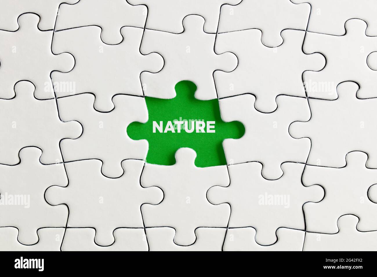 Grün fehlende Puzzle-Stück mit dem Wort Natur. Umweltschützung, Zerstörung des Naturkonzepts. Stockfoto