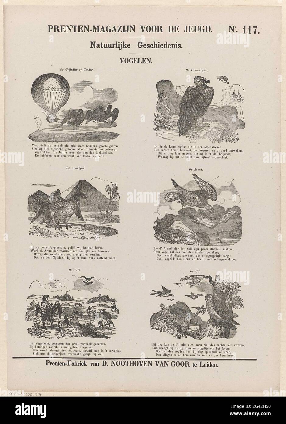 Vögel; Drucklager für die Jugend; Naturgeschichte. Blatt mit 6 Darstellungen von Vögeln, wie einem Geier, einem Falken und einer Eule. Über jedem Bild ein Titel, unter jedem Bild ein vierzeiliger Vers. Rechts oben nummeriert: Nr. 117. Stockfoto