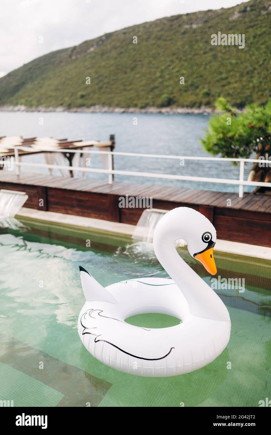 Im Pool schwebt ein aufblasbarer Schwimmkreis in Form eines weißen Schwans. Stockfoto