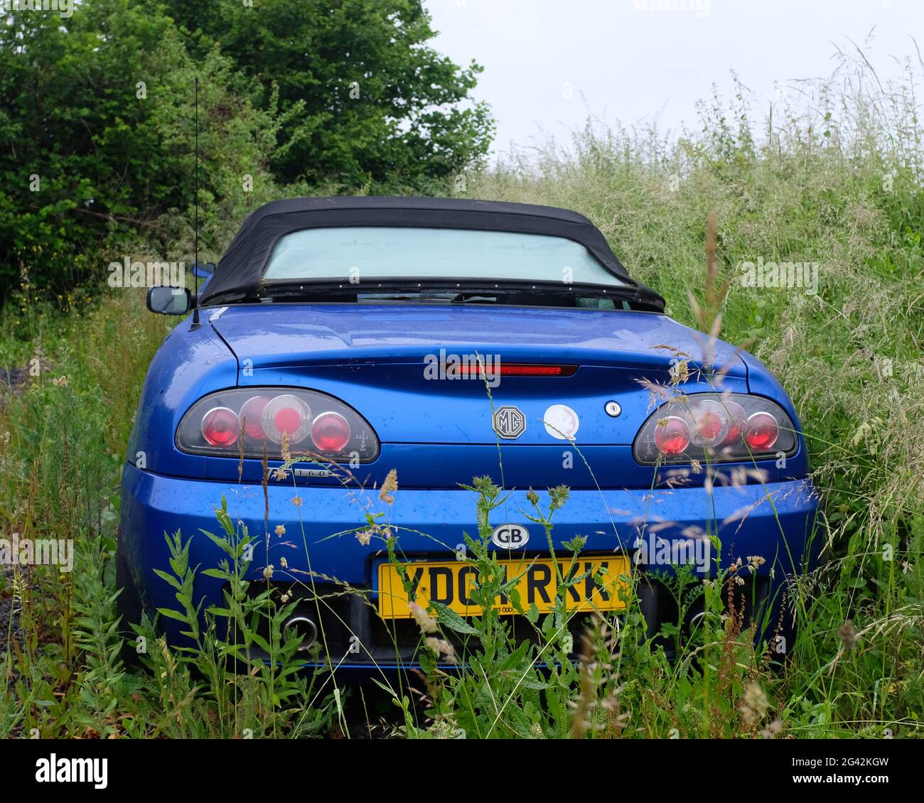 2021. Juni - leuchtend blaue MG TF-Autos verlassen auf einem Feld Stockfoto