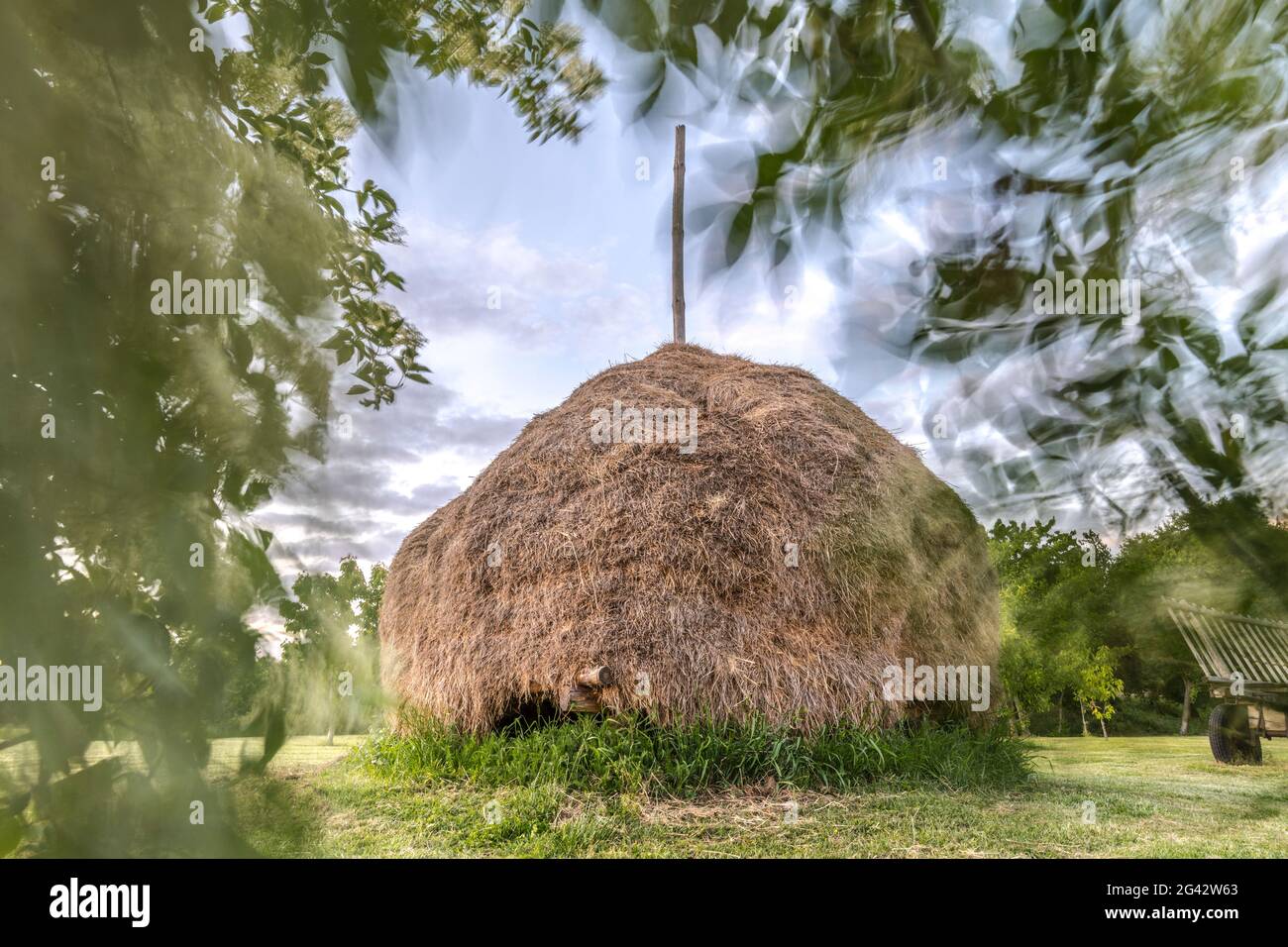 Traditioneller Heuhaufen im Spreewald, Deutschland, Brandenburg Stockfoto