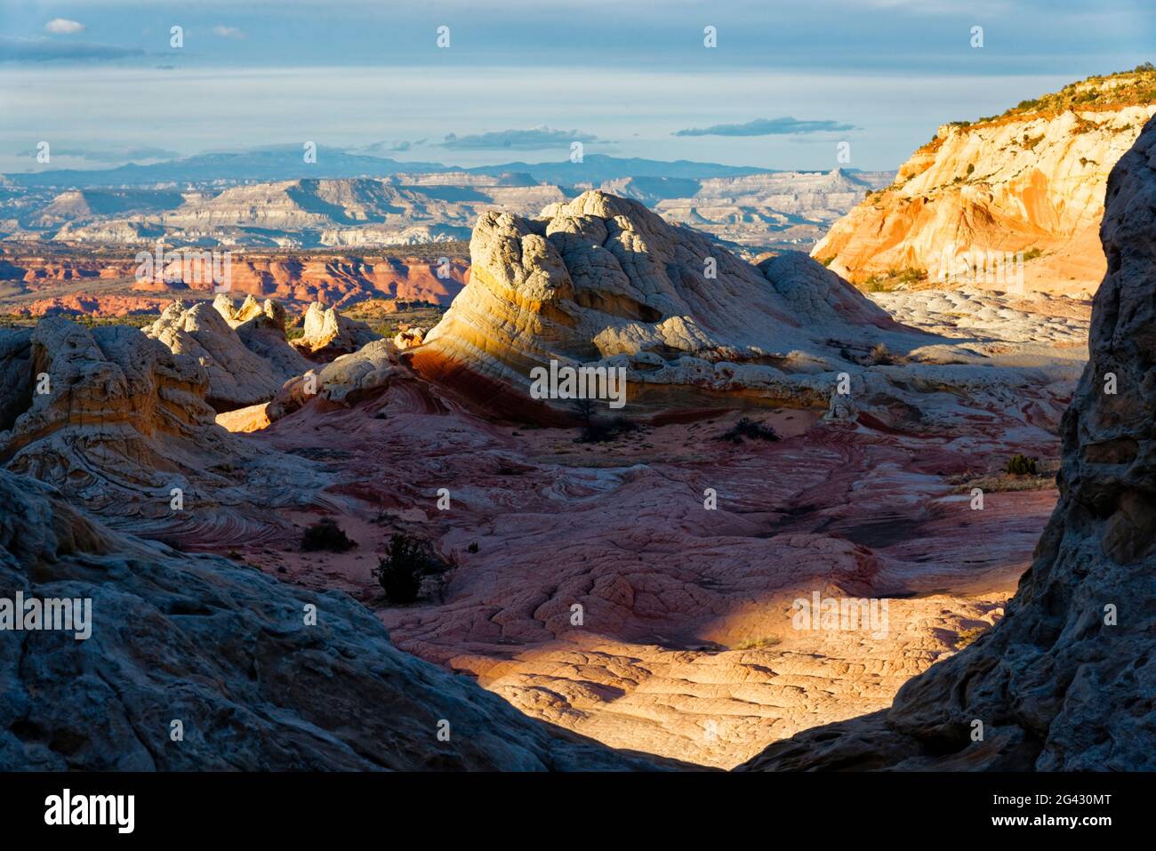 Wüstenlandschaft von Arizona, USA Stockfoto