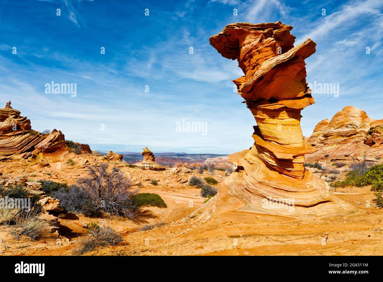 Sandsteinfelsen in der Wüste, Coyote Buttes South, Paria Canyon Vermilion Cliffs Wilderness, Arizona, USA Stockfoto