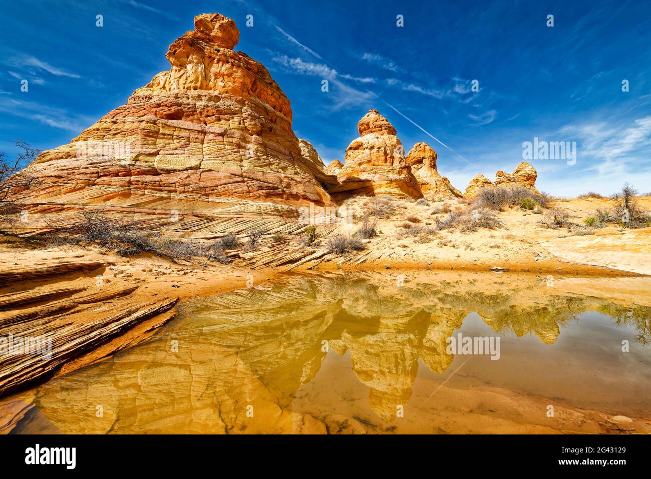 Sandsteinfelsen, die sich im Wasser spiegeln, Coyote Buttes South, Paria Canyon Vermilion Cliffs Wilderness, Arizona, USA Stockfoto