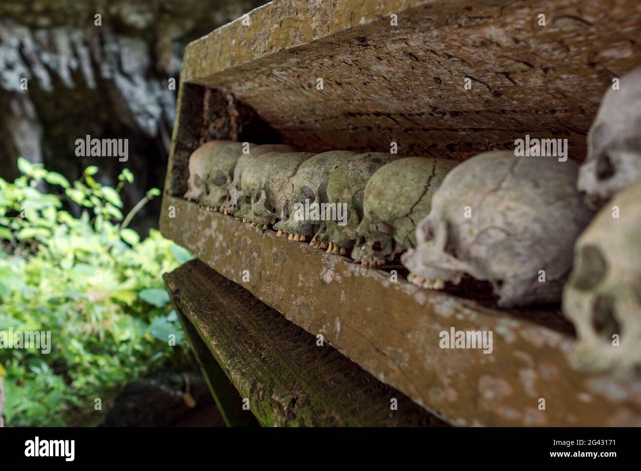 Die historische Grabstätte von Lombok Parinding in Tana Toraja Stockfoto