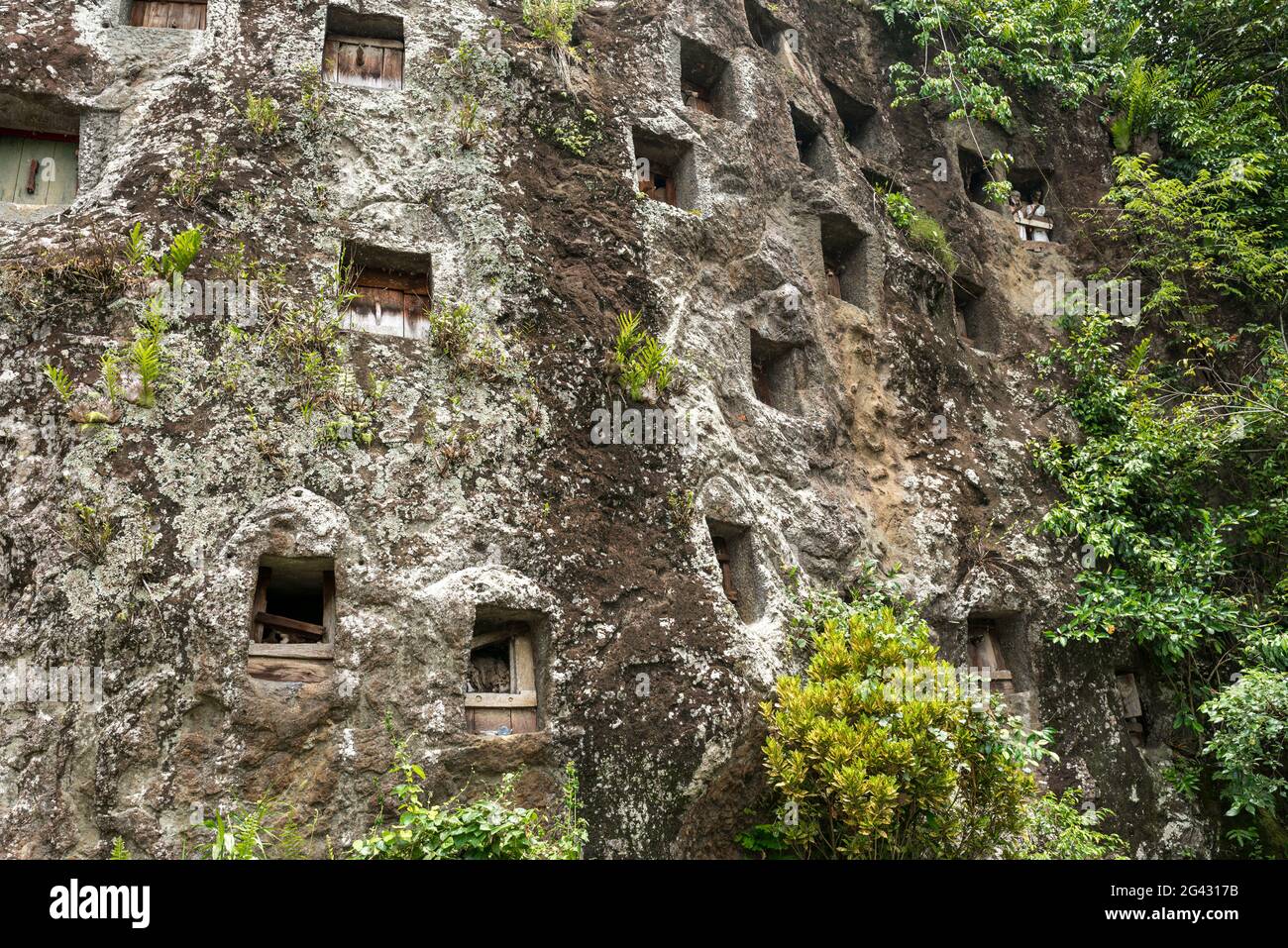 Die Felsgräber von Lemo sind eine Hauptattraktion in Tana Toraja Stockfoto