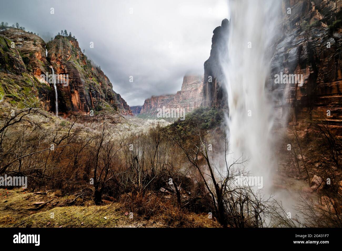 Wasserfälle im Canyon, Zion National Park, Utah, USA Stockfoto