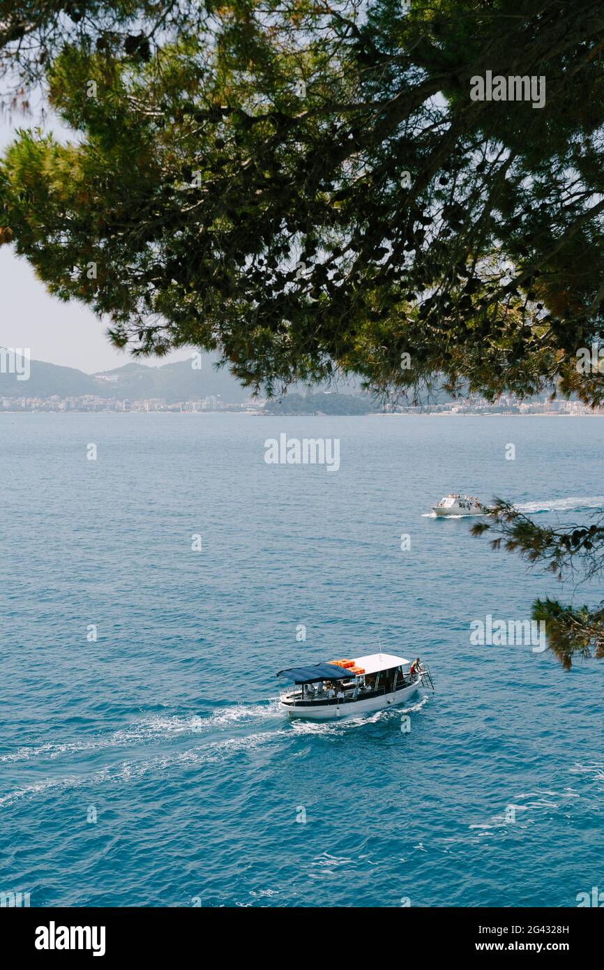Ein Ausflugsboot und eine weiße Yacht segeln mit großen Bäumen zum Ufer. Stockfoto