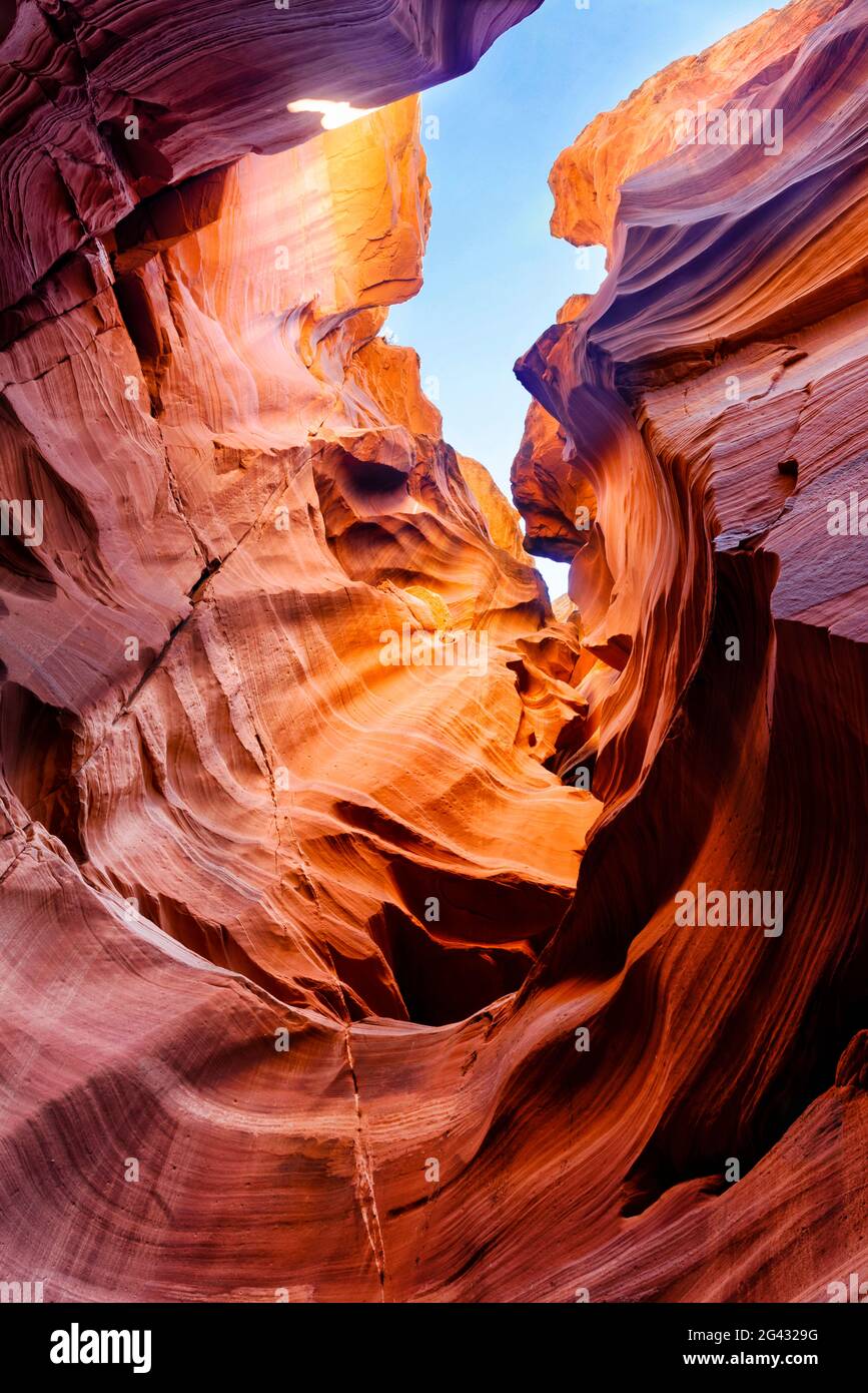 Malerische Sandsteinformationen, Slot Canyon, Zion National Park, Utah, USA Stockfoto