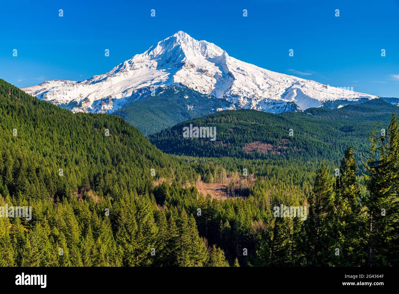 Landschaft mit Mount Hood und Wald, Oregon, USA Stockfoto