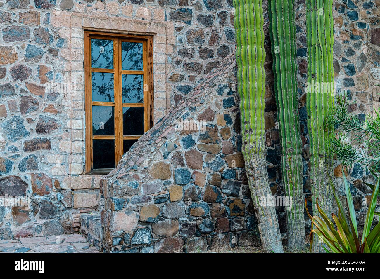 Bau der Mission Santa Rosalia de Mulege, Mulege, Baja California Sur, Mexiko Stockfoto