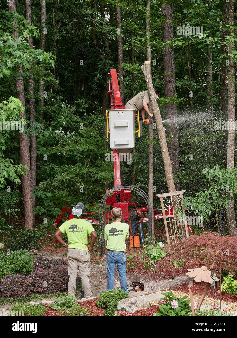 In Pike Road Alabama, USA, schneidet ein Trimmer in einem Eimer eine Kiefer mit einer Kettensäge ab. Stockfoto