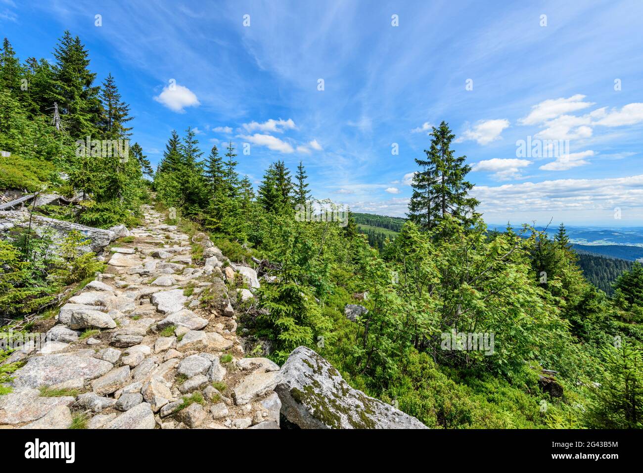 Wanderweg im Bayerischen Wald, Bayern, Deutschland Stockfoto