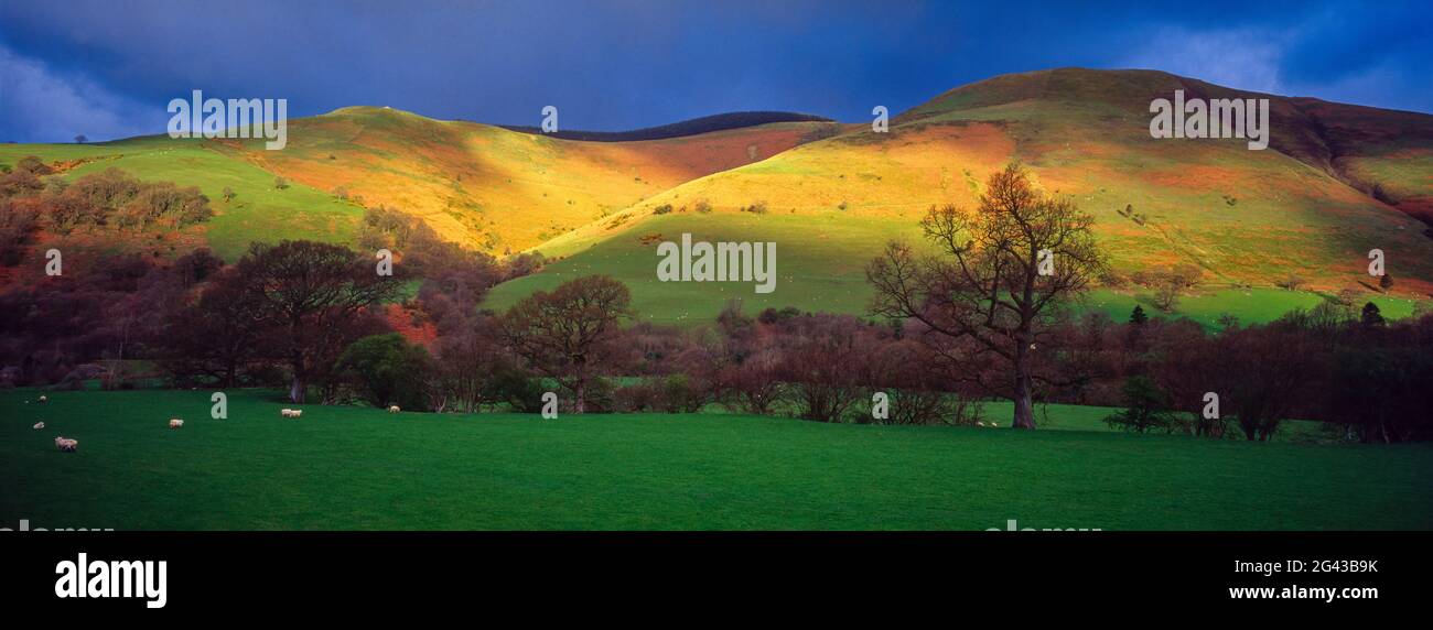 Landschaft mit sanften Hügeln unter blauem Himmel, Mallwyd, Gwynedd, Wales, Großbritannien Stockfoto