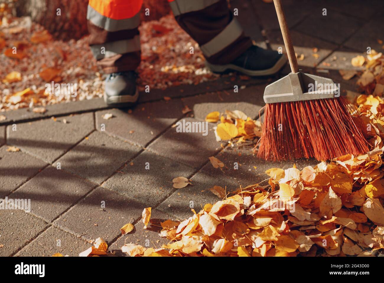 Hausmeister putzte herbstliche Blätter auf der Straße. Stockfoto