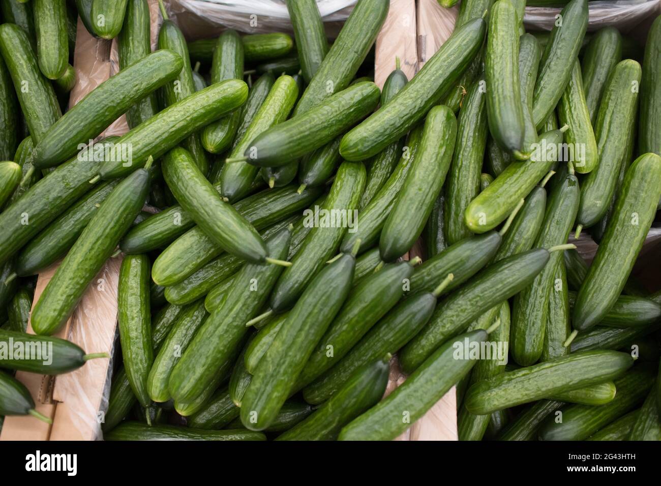 Gurken grün auf einem Ladentisch Korb. Stockfoto