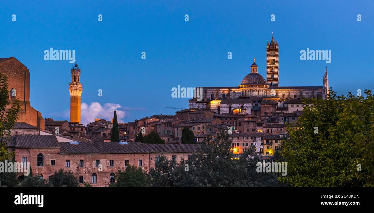Torre del Mangia und Kathedrale von Siena zur blauen Stunde, Siena, Provinz Siena, Toskana, Italien Stockfoto