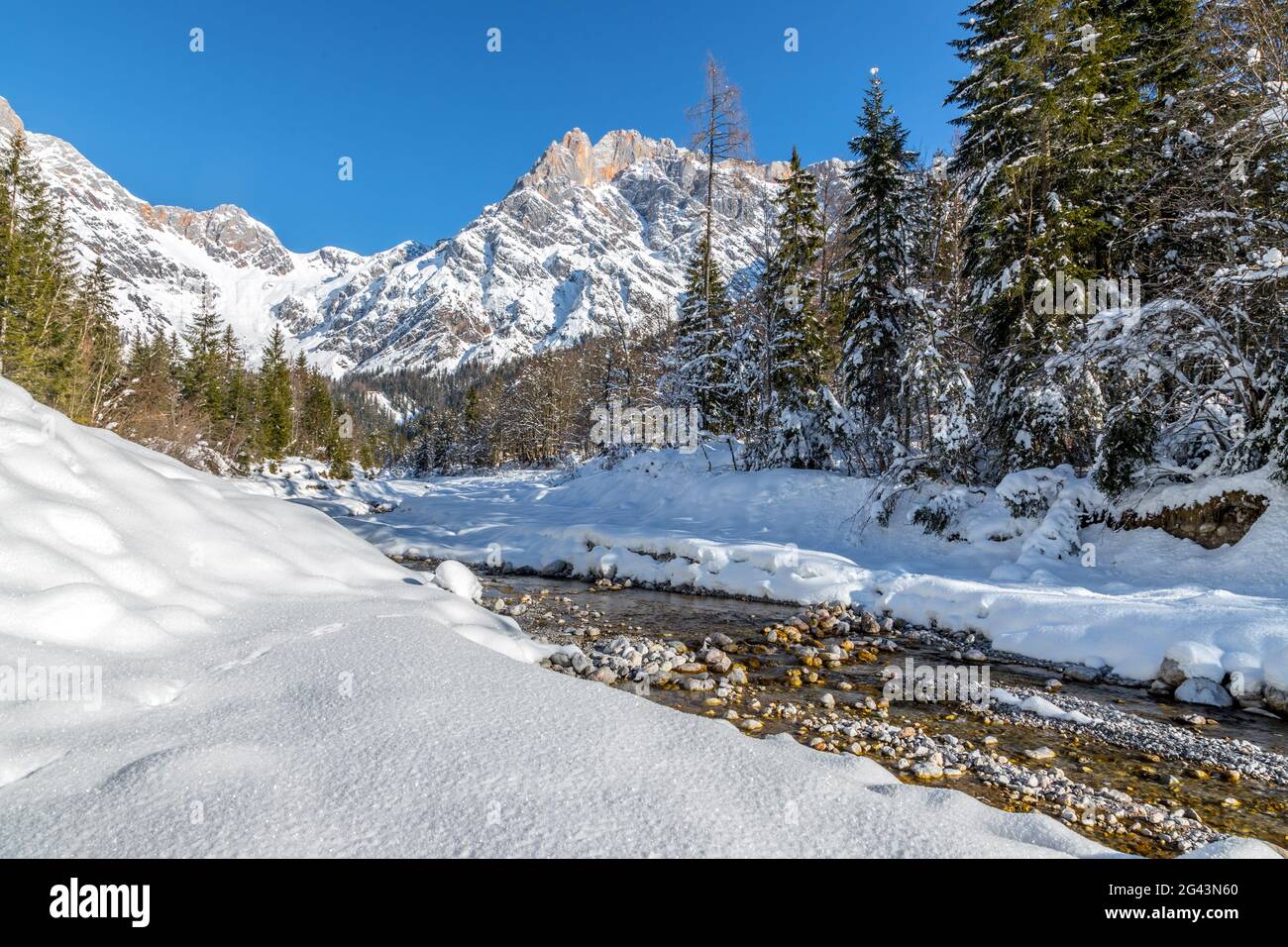 Sonnige Winterlandschaft in den alpen: Bergkette, Fluss, verschneite Bäume, Sonnenschein und blauer Himmel Stockfoto