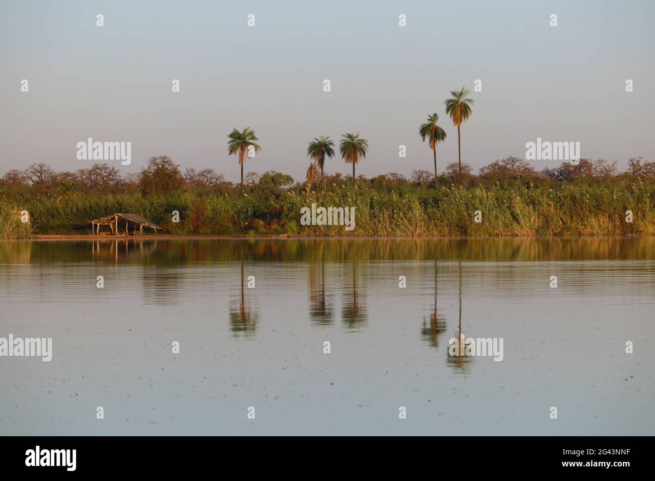 Gambia; Central River Region; Gambia River in der Nähe von Kuntaur; Blick auf das Westufer; schattige Hütte und Halt für die Fähre Stockfoto