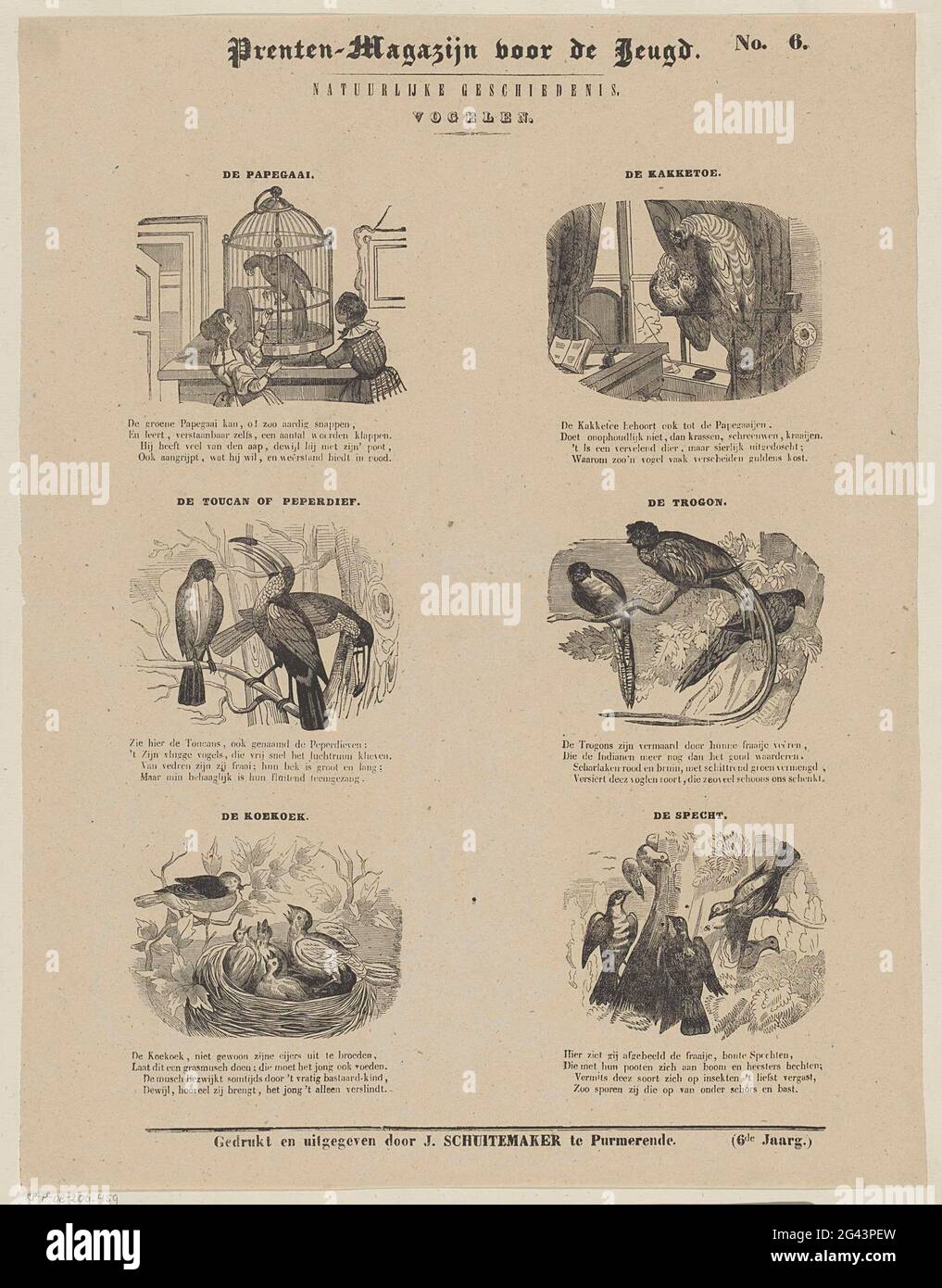 Vögel; Drucklager für die Jugend; Naturgeschichte. Blatt mit 6 Darstellungen von Vögeln, wie einem Papagei, einem Kakadu und einem Specht. Über jeder Vorstellung einen Titel und unter jeder Vorstellung einen vierzeiligen Vers. Rechts oben nummeriert: Nr. 6. Stockfoto