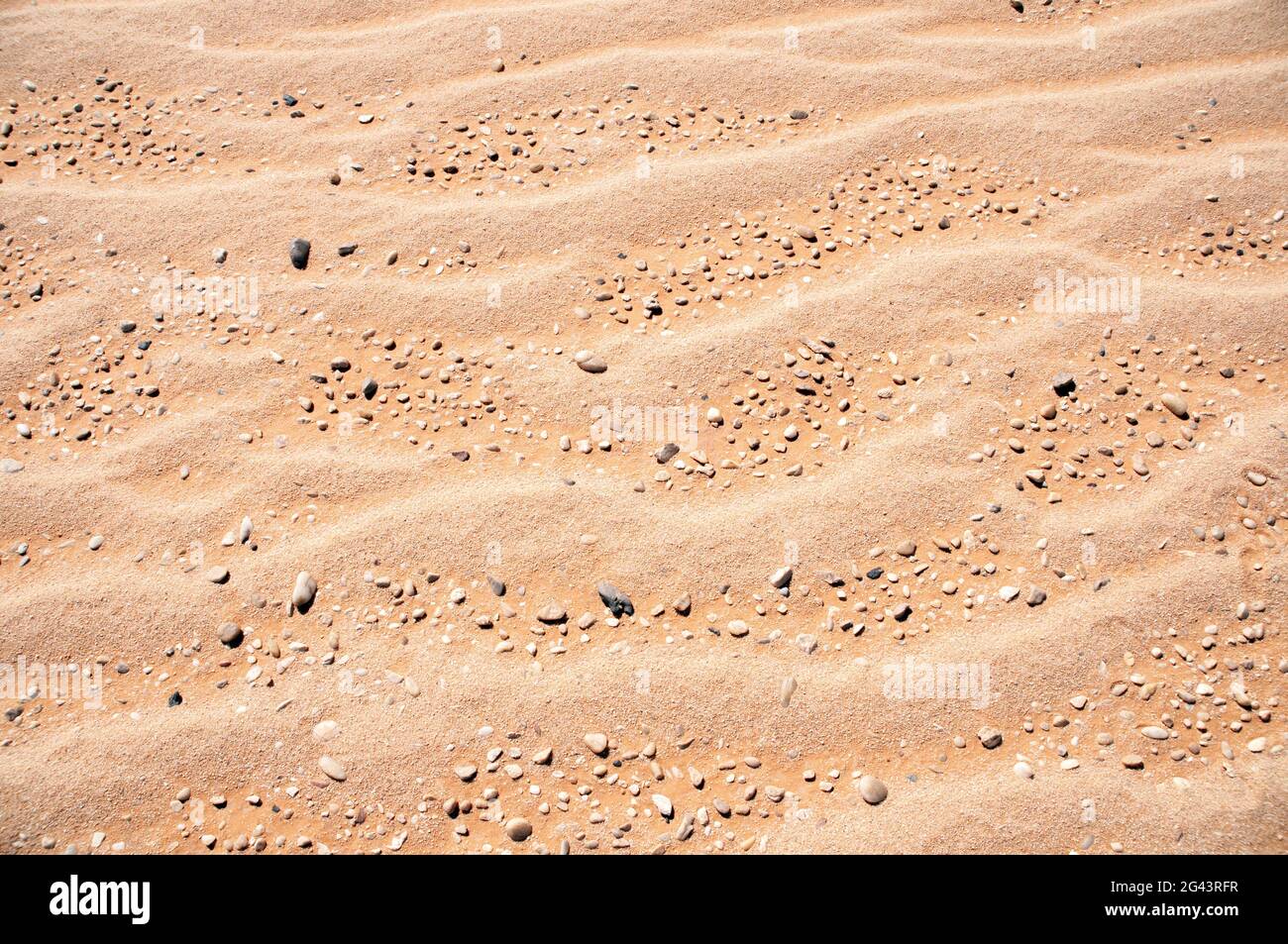 Windgeblasene Sandkräuseln und Kieselsteine, die Teil eines alten Meeresbodens sind, in der westlichen Wüstenregion der Sahara im Südwesten Ägyptens. Stockfoto