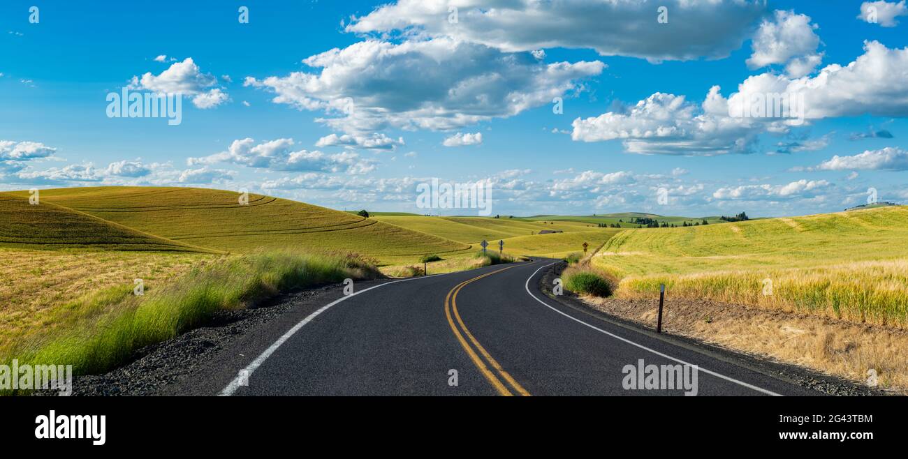 Landschaft mit Straßen und Feldern auf sanften Hügeln, Whitman County, Washington, USA Stockfoto
