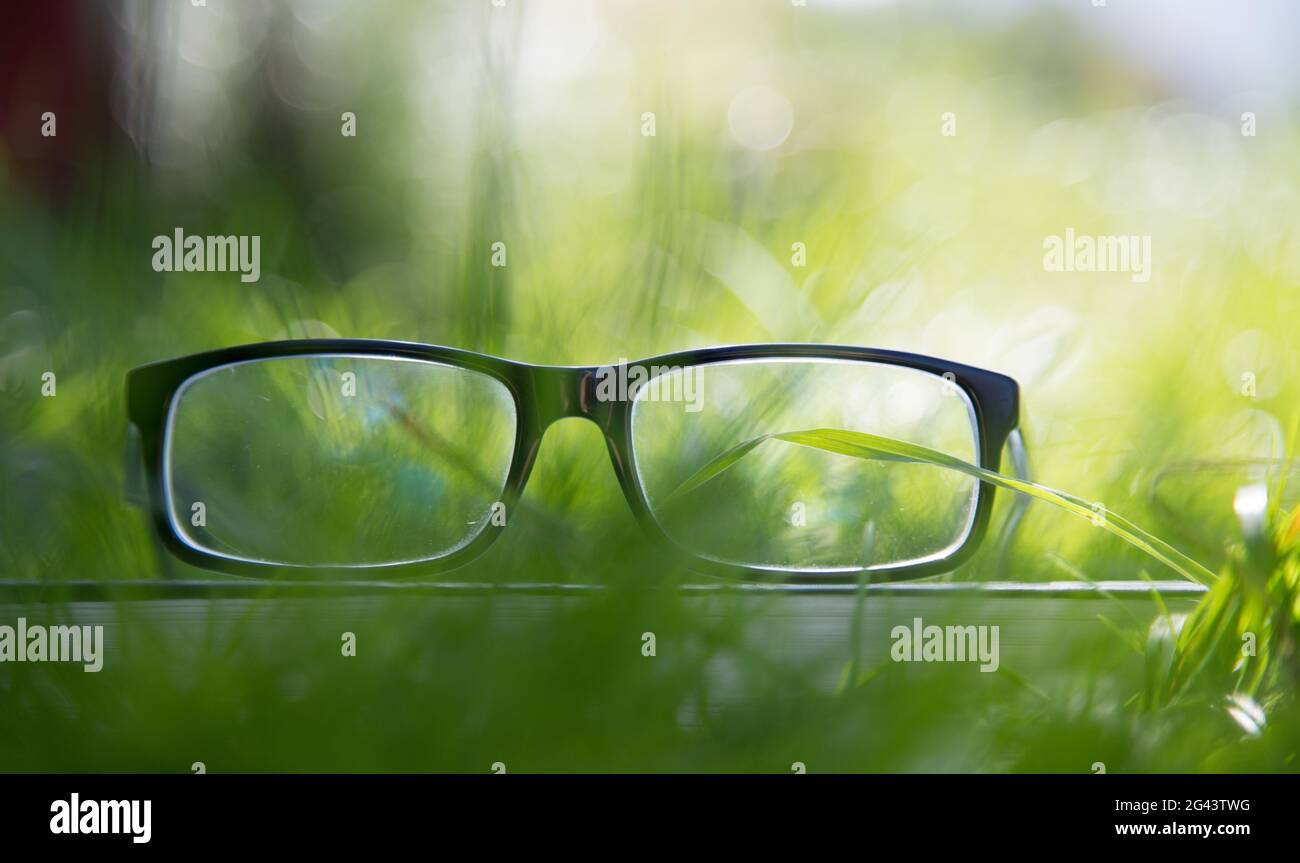 Studieren im Freien: Brillen im Freien im Park, Frühling Stockfoto