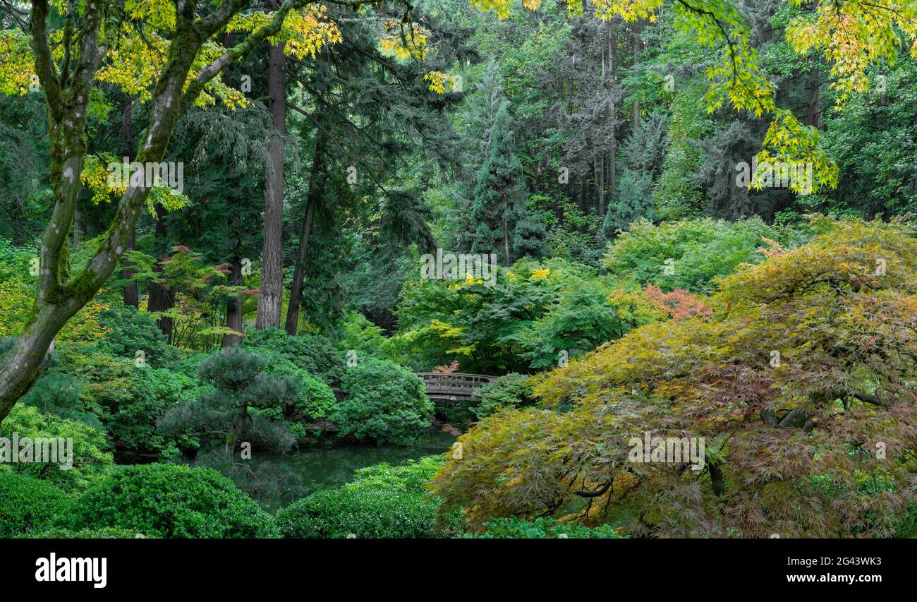 Landschaft mit japanischem Garten und Steg über den Teich, Portland, Oregon, USA Stockfoto