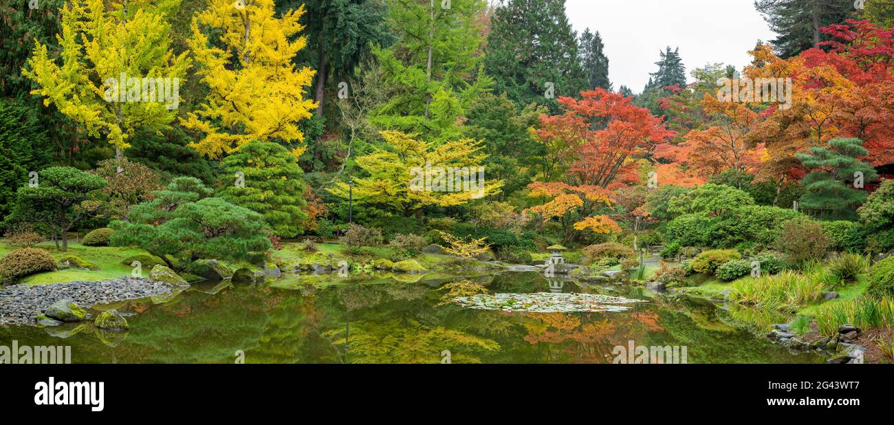 Japanischer Garten in Herbstfarben, Seattle, Washington, USA Stockfoto