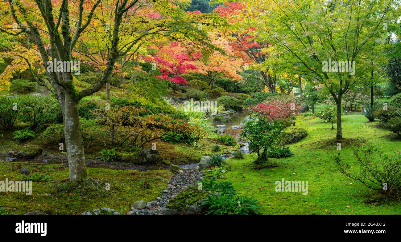 Japanischer Garten in Herbstfarben, Seattle, Washington, USA Stockfoto