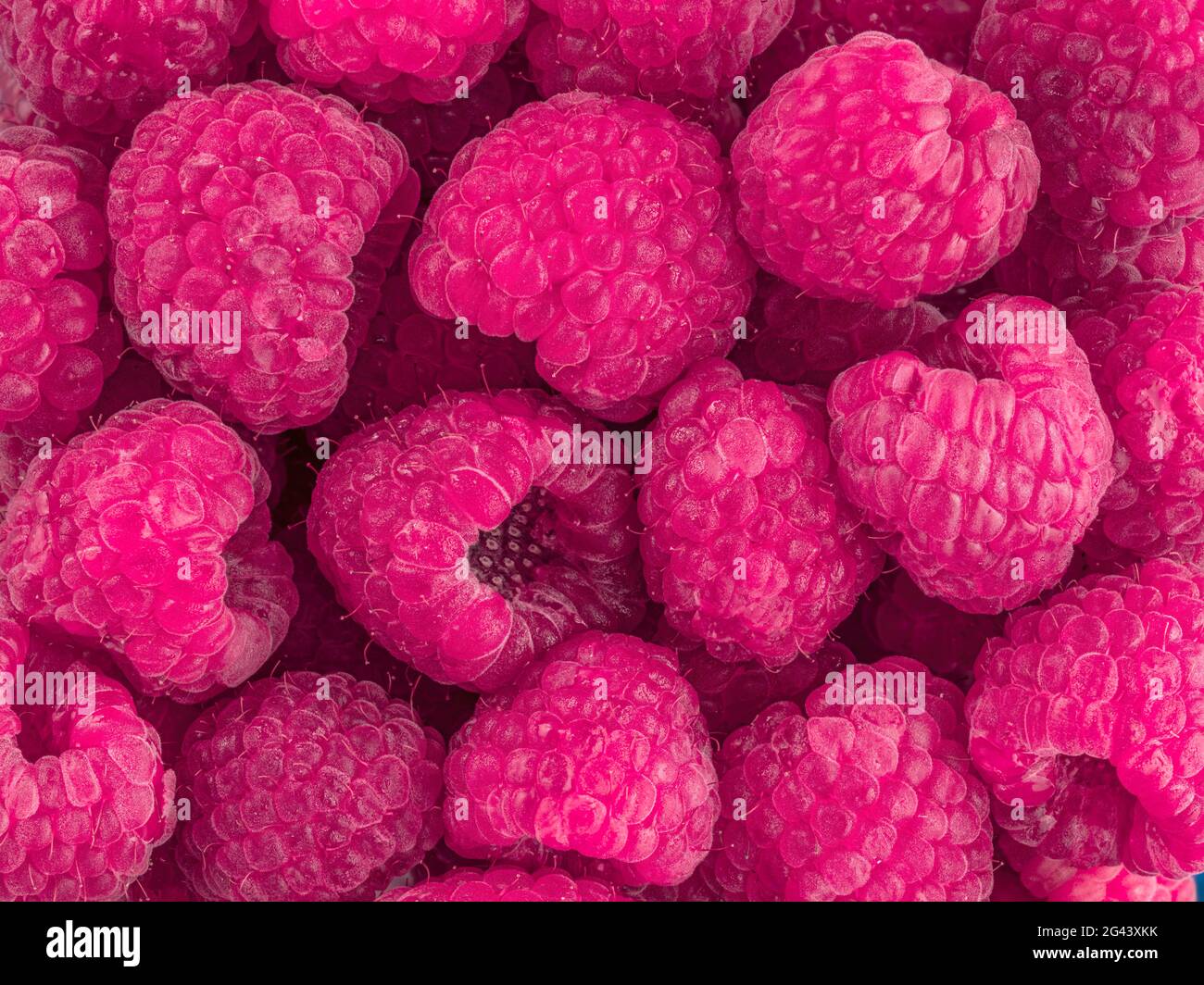 Voller Rahmen von roten Himbeeren Stockfoto