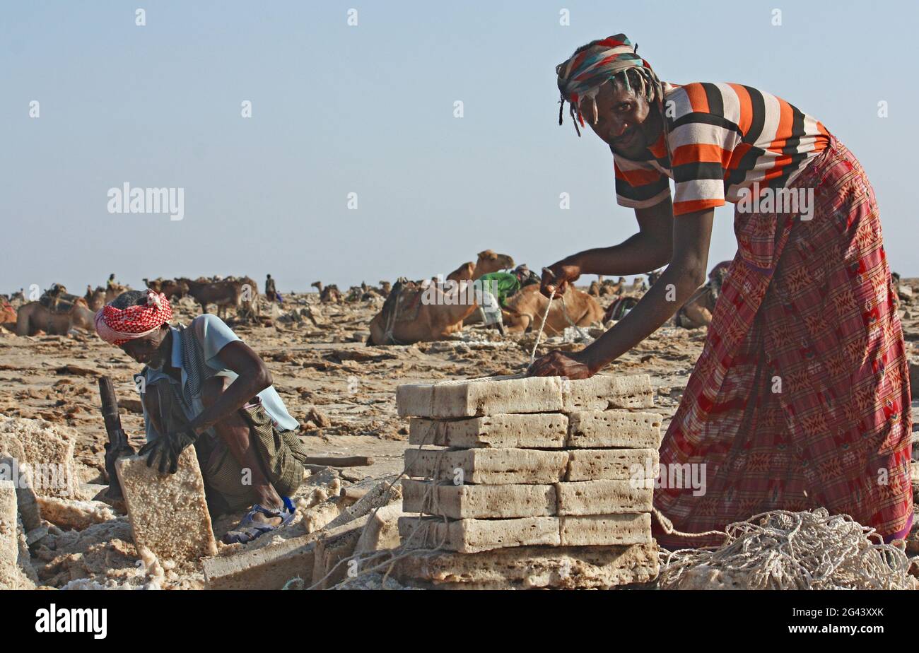 Äthiopien; Afar-Region; Danakil-Wüste; Danakil-Depression; Arbeiter auf den Salzpfannen; Lösen und Verarbeitung der Salzplatten in mühsamer Handarbeit Stockfoto