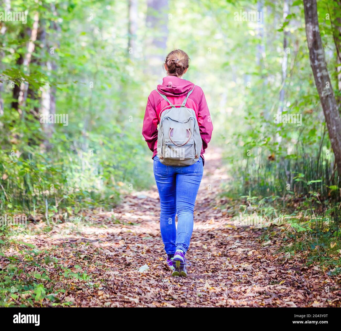 Holen Sie sich den Geist frei und Waldtherapie-Konzept: Junges Mädchen wandert durch den grünen Wald Stockfoto