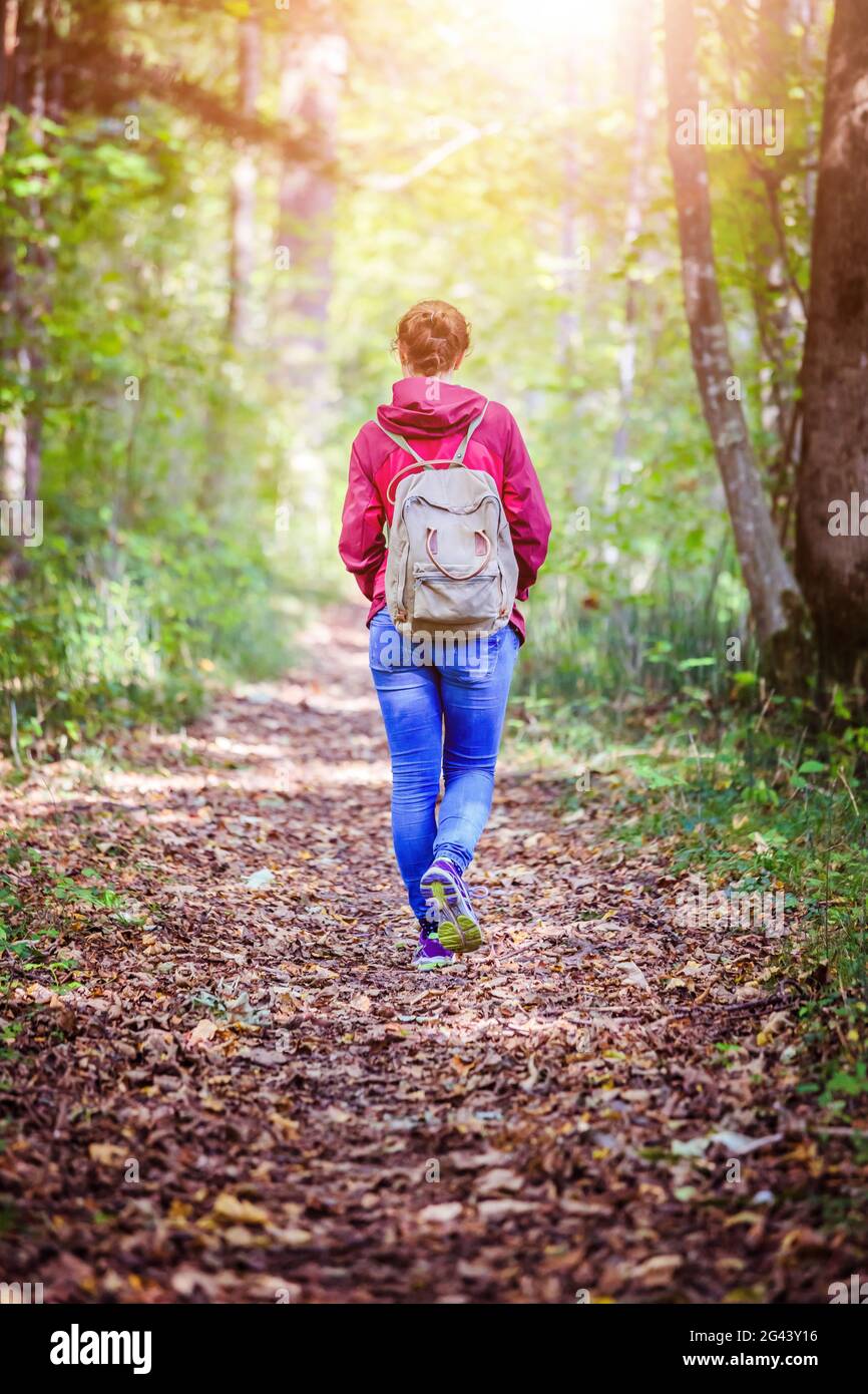 Holen Sie sich den Geist frei und Waldtherapie-Konzept: Junges Mädchen wandert durch den grünen Wald Stockfoto