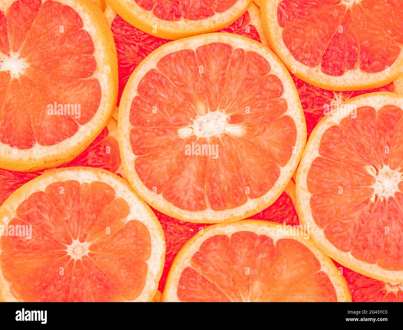 Voller Rahmen von geschnittenen Grapefruits Stockfoto